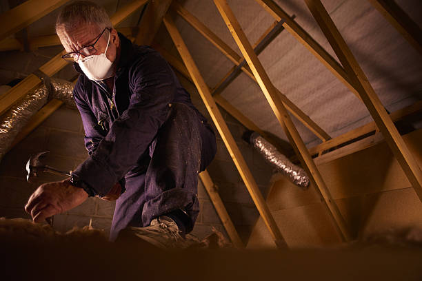 Best DIY Insulation Kits and Guidance in Maryland City, MD