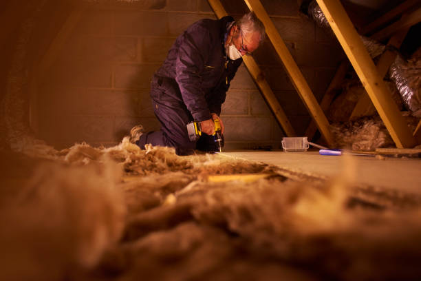 Best Specialized Insulation Services in Maryland City, MD